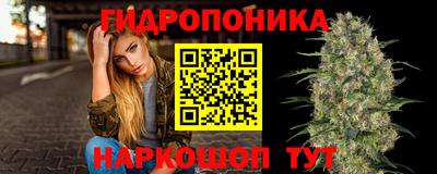 ешки Можга